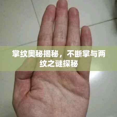 掌纹奥秘揭秘,不断掌与两纹之谜探秘