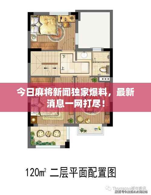 今日麻将新闻独家爆料,最新消息一网打尽!