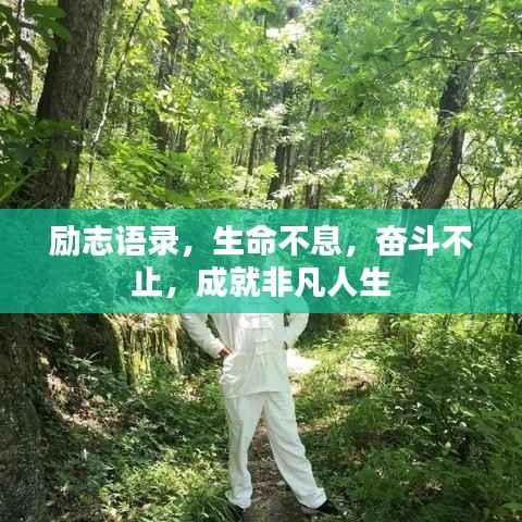 如鸟兽散 第2页