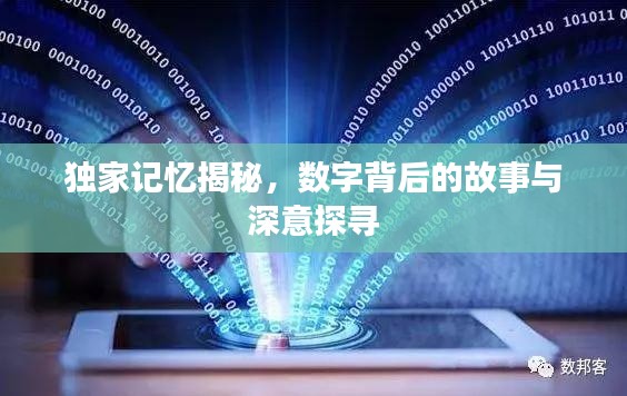 独家记忆揭秘,数字背后的故事与深意探寻