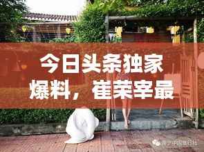 今日头条独家爆料,崔荣宰最新动态揭秘