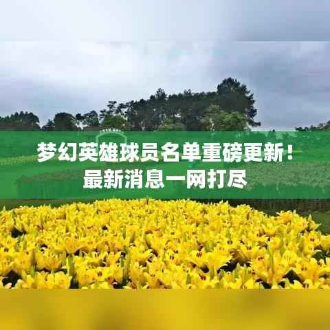 梦幻英雄球员名单重磅更新!最新消息一网打尽
