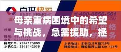 母亲重病困境中的希望与挑战,急需援助,拯救生命的光辉之路