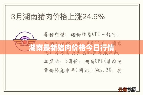 漫不经心