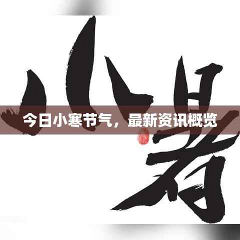 今日小寒节气,最新资讯概览