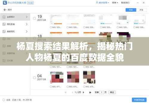 杨夏搜索结果解析,揭秘热门人物杨夏的百度数据全貌