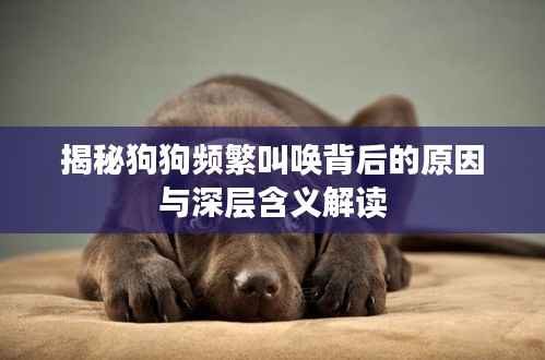 百不获一 第2页