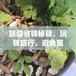 悬梁刺股 第2页