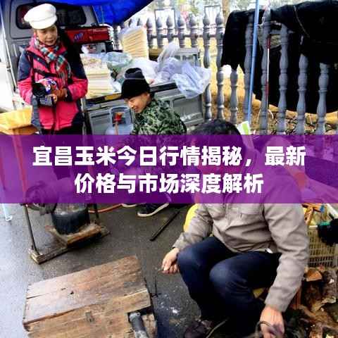 半截鸟木 第2页