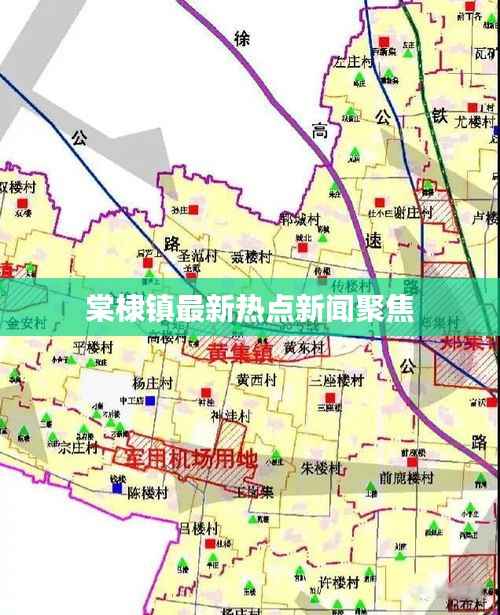 棠棣镇最新热点新闻聚焦