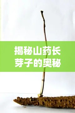 学贵有疑