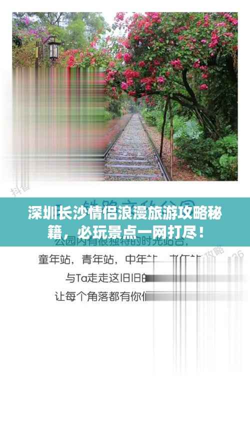 虫蚀鸟步