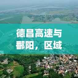 自作主张